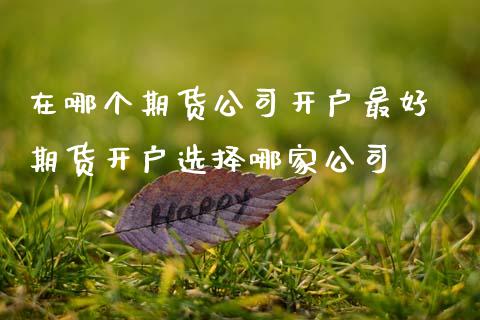 在哪个期货公司开户最好 期货开户选择哪家公司 (https://www.ynbygsw.com/) 国际期货 第1张