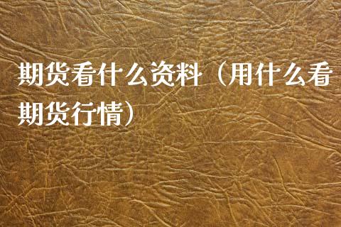 期货看什么资料（用什么看期货行情） (https://www.ynbygsw.com/) 基金投资 第1张