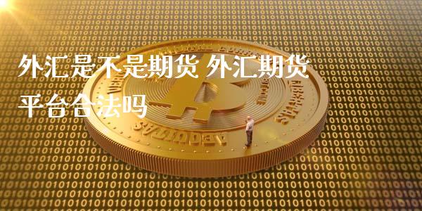 外汇是不是期货 外汇期货平台合法吗 (https://www.ynbygsw.com/) 国际期货 第1张