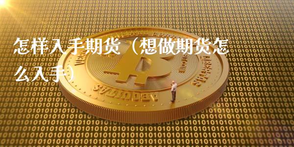 怎样入手期货（想做期货怎么入手） (https://www.ynbygsw.com/) 原油期货 第1张