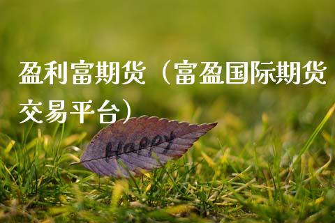 盈利富期货（富盈国际期货交易平台） (https://www.ynbygsw.com/) 期货入门 第1张