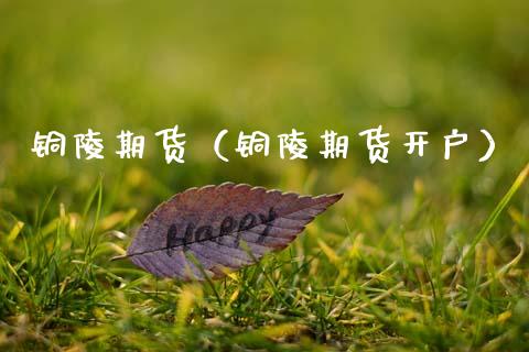 铜陵期货（铜陵期货开户） (https://www.ynbygsw.com/) 期货开户 第1张