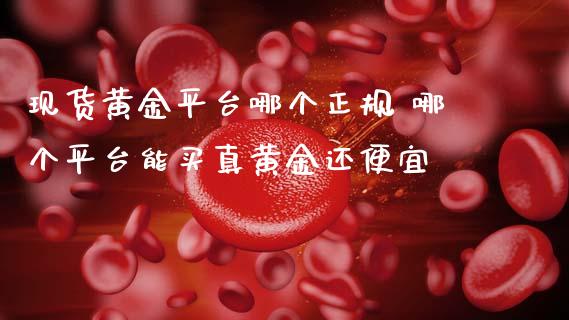 现货黄金平台哪个正规 哪个平台能买真黄金还便宜 (https://www.ynbygsw.com/) 基金投资 第1张