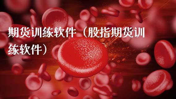 期货训练软件（股指期货训练软件） (https://www.ynbygsw.com/) 理财百科 第1张