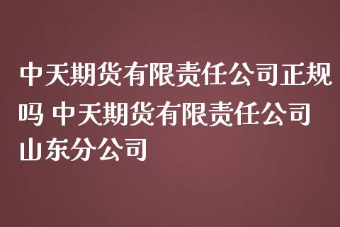 中天期货有限责任公司正规吗 中天期货有限责任公司山东分公司 (https://www.ynbygsw.com/) 国际期货 第1张