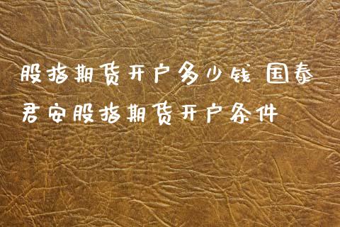 股指期货开户多少钱 国泰君安股指期货开户条件 (https://www.ynbygsw.com/) 基金投资 第1张