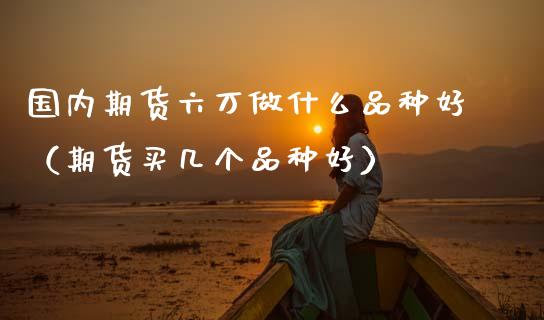 国内期货六万做什么品种好（期货买几个品种好） (https://www.ynbygsw.com/) 理财百科 第1张