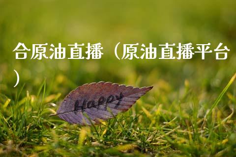 合原油直播（原油直播平台） (https://www.ynbygsw.com/) 内盘期货 第1张