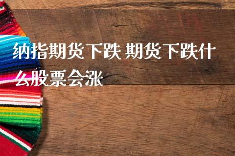纳指期货下跌 期货下跌什么股票会涨 (https://www.ynbygsw.com/) 国际期货 第1张