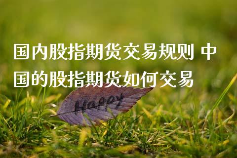 国内股指期货交易规则 中国的股指期货如何交易 (https://www.ynbygsw.com/) 基金投资 第1张