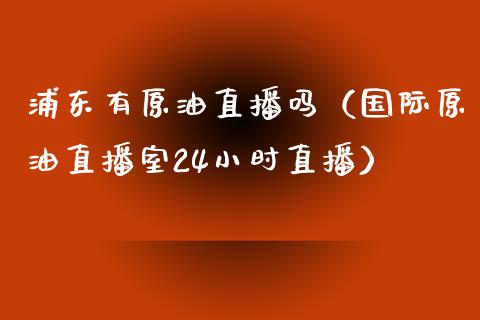 浦东有原油直播吗（国际原油直播室24小时直播） (https://www.ynbygsw.com/) 国际期货 第1张