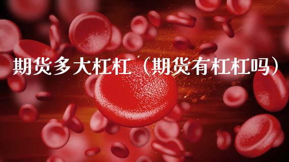 期货多大杠杠（期货有杠杠吗） (https://www.ynbygsw.com/) 期货手续费 第1张