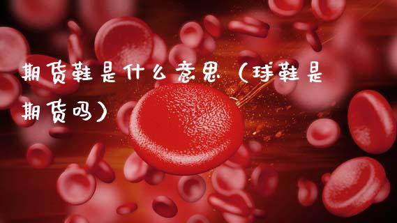 期货鞋是什么意思（球鞋是期货吗） (https://www.ynbygsw.com/) 内盘期货 第1张