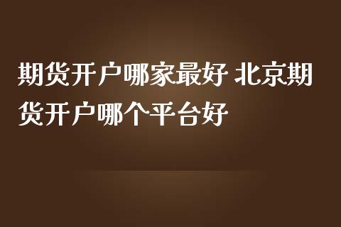 期货开户哪家最好 北京期货开户哪个平台好 (https://www.ynbygsw.com/) 国际期货 第1张