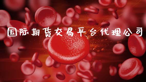国际期货交易平台代理公司 (https://www.ynbygsw.com/) 国际期货 第1张