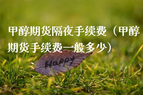 甲醇期货隔夜手续费（甲醇期货手续费一般多少） (https://www.ynbygsw.com/) 股票推荐 第1张