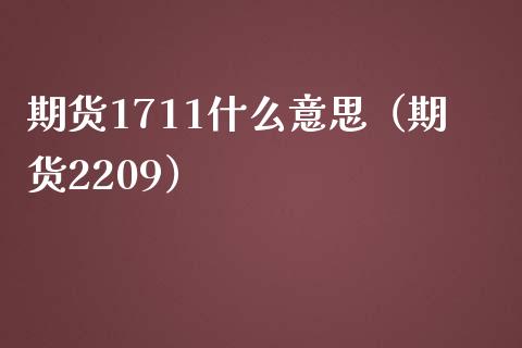 期货1711什么意思（期货2209） (https://www.ynbygsw.com/) 股票推荐 第1张