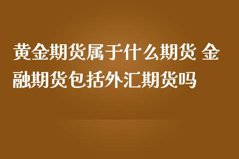 黄金期货属于什么期货 金融期货包括外汇期货吗 (https://www.ynbygsw.com/) 国际期货 第1张