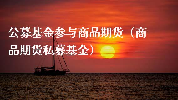 公募基金参与商品期货（商品期货私募基金） (https://www.ynbygsw.com/) 国际期货 第1张
