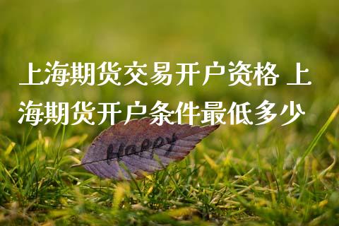 上海期货交易开户资格 上海期货开户条件最低多少 (https://www.ynbygsw.com/) 理财百科 第1张