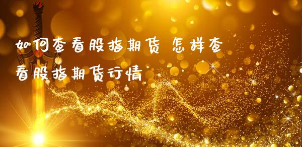 如何查看股指期货 怎样查看股指期货行情 (https://www.ynbygsw.com/) 基金投资 第1张