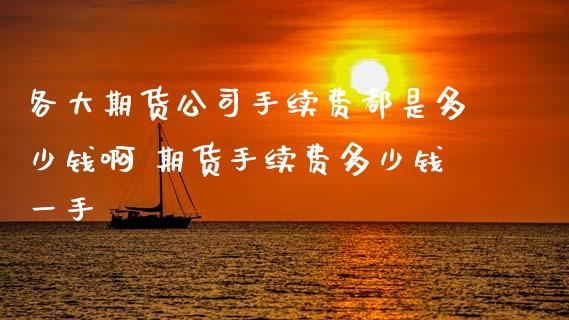 各大期货公司手续费都是多少钱啊 期货手续费多少钱一手 (https://www.ynbygsw.com/) 国际期货 第1张