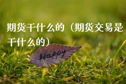 期货干什么的（期货交易是干什么的） (https://www.ynbygsw.com/) 国际期货 第1张