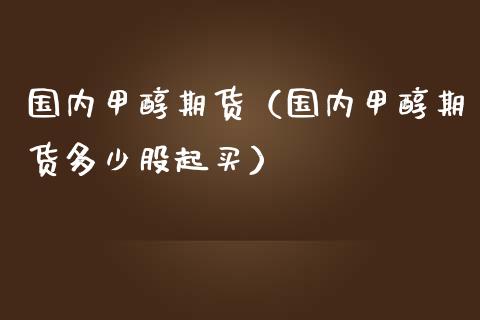 国内甲醇期货（国内甲醇期货多少股起买） (https://www.ynbygsw.com/) 理财百科 第1张