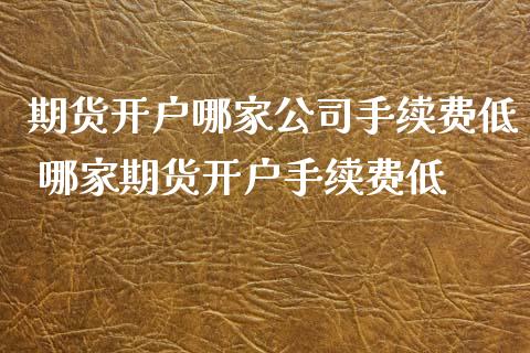 期货开户哪家公司手续费低 哪家期货开户手续费低 (https://www.ynbygsw.com/) 国际期货 第1张