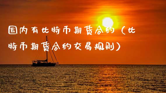 国内有比特币期货合约（比特币期货合约交易规则） (https://www.ynbygsw.com/) 国际期货 第1张