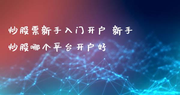 炒股票新手入门开户 新手炒股哪个平台开户好 (https://www.ynbygsw.com/) 基金投资 第1张