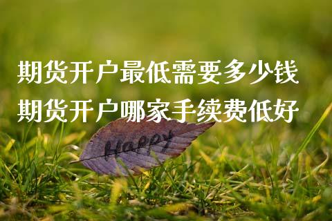 期货开户最低需要多少钱 期货开户哪家手续费低好 (https://www.ynbygsw.com/) 国际期货 第1张