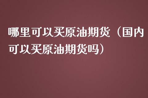 哪里可以买原油期货（国内可以买原油期货吗） (https://www.ynbygsw.com/) 国际期货 第1张