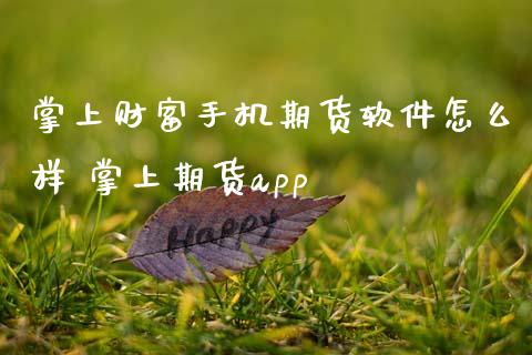 掌上财富手机期货软件怎么样 掌上期货app (https://www.ynbygsw.com/) 股票推荐 第1张