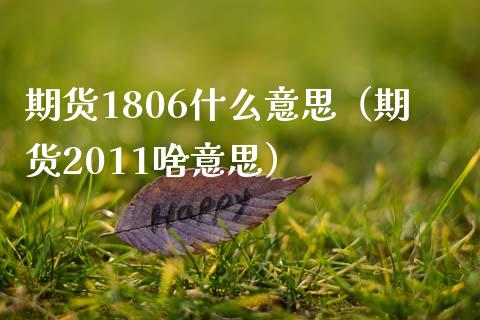 期货1806什么意思（期货2011啥意思） (https://www.ynbygsw.com/) 期货手续费 第1张
