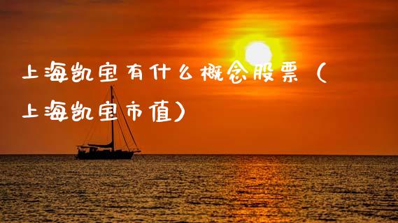 上海凯宝有什么概念股票（上海凯宝市值） (https://www.ynbygsw.com/) 原油期货 第1张