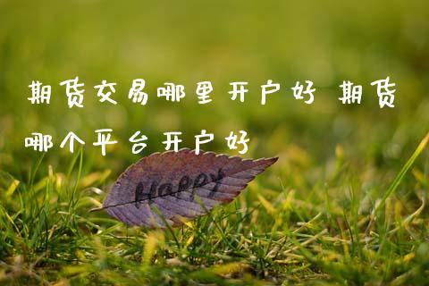 期货交易哪里开户好 期货哪个平台开户好 (https://www.ynbygsw.com/) 基金投资 第1张