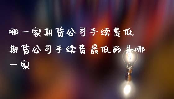 哪一家期货公司手续费低 期货公司手续费最低的是哪一家 (https://www.ynbygsw.com/) 基金投资 第1张