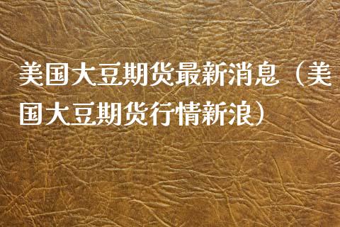 美国大豆期货最新消息（美国大豆期货行情新浪） (https://www.ynbygsw.com/) 基金投资 第1张