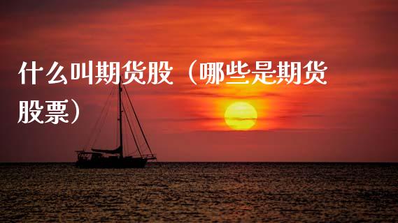 什么叫期货股（哪些是期货股票） (https://www.ynbygsw.com/) 黄金期货 第1张