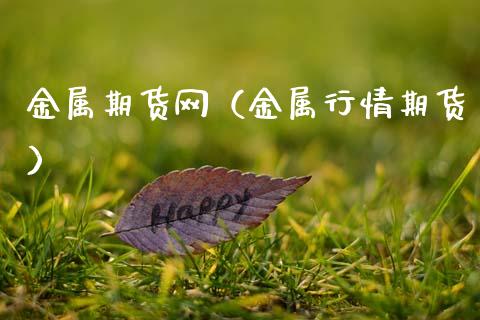 金属期货网（金属行情期货） (https://www.ynbygsw.com/) 国际期货 第1张