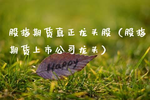 股指期货真正龙头股（股指期货上市公司龙头） (https://www.ynbygsw.com/) 理财百科 第1张