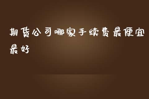期货公司哪家手续费最便宜最好 (https://www.ynbygsw.com/) 基金投资 第1张