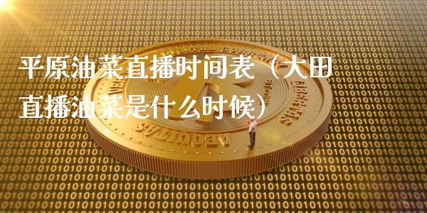 平原油菜直播时间表（大田直播油菜是什么时候） (https://www.ynbygsw.com/) 原油期货 第1张