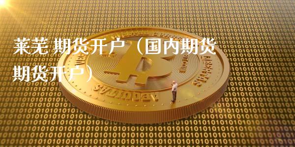 莱芜 期货开户（国内期货期货开户） (https://www.ynbygsw.com/) 基金投资 第1张
