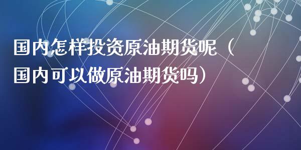 国内怎样投资原油期货呢（国内可以做原油期货吗） (https://www.ynbygsw.com/) 基金投资 第1张