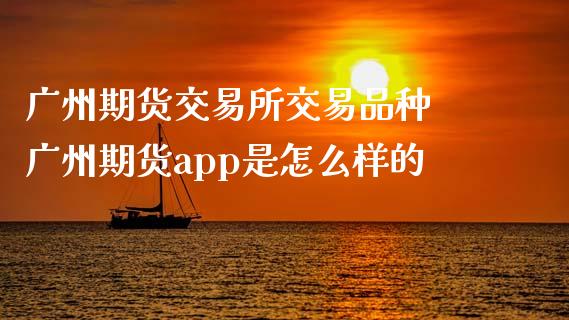 广州期货交易所交易品种 广州期货app是怎么样的 (https://www.ynbygsw.com/) 国际期货 第1张