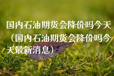 国内石油期货会降价吗今天（国内石油期货会降价吗今天最新消息） (https://www.ynbygsw.com/) 国际期货 第1张
