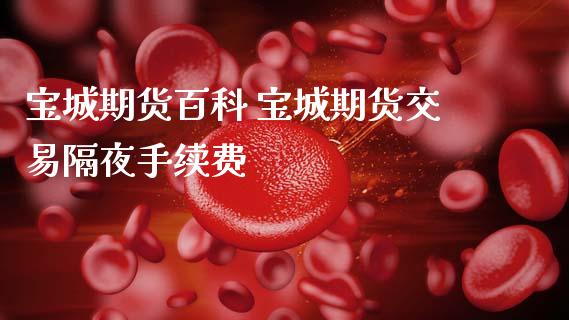宝城期货百科 宝城期货交易隔夜手续费 (https://www.ynbygsw.com/) 国际期货 第1张