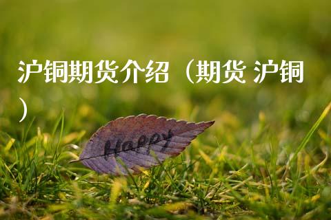 沪铜期货介绍（期货 沪铜） (https://www.ynbygsw.com/) 期货行情 第1张